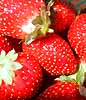 strawberries